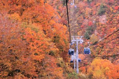 ■ 紅葉の絶景空中散歩の旅　苗場ドラゴンドラで燃えるような紅葉の中へ突入