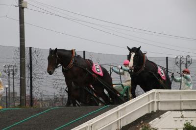 一度は見たい：ばんえい競馬を見に秋の北海道へ行ってきました