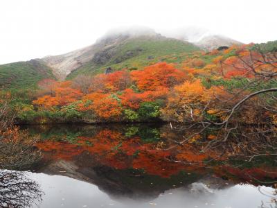 紅葉の那須　姥ヶ平と茶臼岳