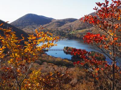 紅葉の赤城山　黒檜山から駒ヶ岳と草紅葉の覚満渕周遊ハイク♪　