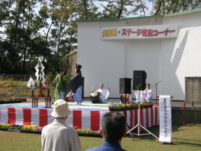 久喜市鷲宮のコスモスフェスタを楽しむ・・・