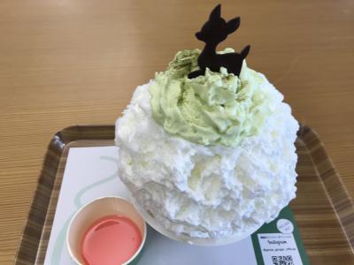 JAPAN KAKIGORI EXPO 2018 in NARA