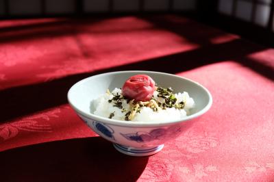 友に会いに新米の時期の新潟へ ー文化財に泊まる新潟の旅 村杉温泉 環翠楼ー