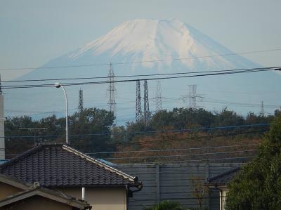 すっきりとした富士山が見られました