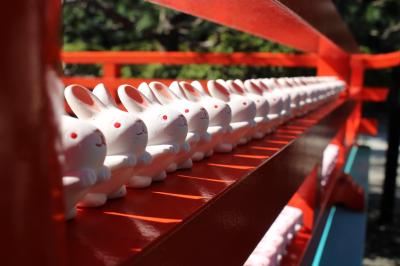 京都　バス乗り放題で神社巡り