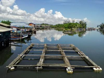 タイ最南端ナラティワート…美しい漁村と優しいモスリムの方々に癒やされる