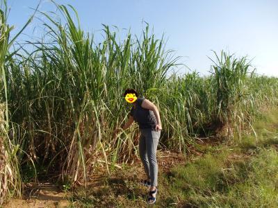 宮古島 … 清水さんとまもる君に会いに … その③ 朝っぱらからシュノーケル