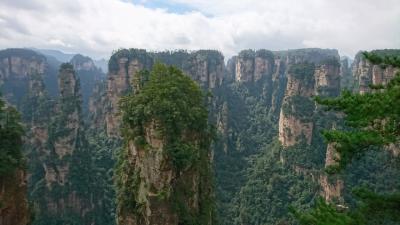 初中国女ひとり旅(上海・張家界）張家界編②