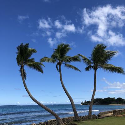 ハワイ旅行2018 ★滞在3日目★