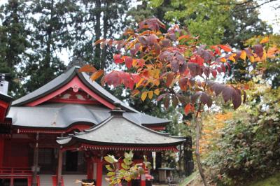 晩秋の庄内の旅