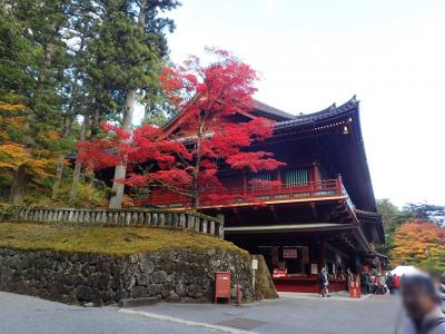 いっぱい見て、聞いて、話した　紅葉の日光東照宮・NIKKO丼・金谷ホテル クラフトラウンジ＋ちょっと浅草