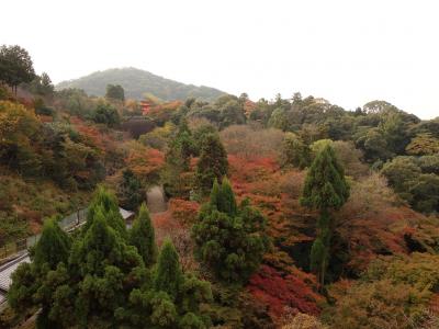 3回目の紅葉の京都0泊3日バスの旅