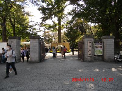 天気が良かったので新宿御苑