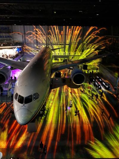 ようやく行けたＦＬＩＧＨＴ　ＯＦ　ＤＲＥＡＭ