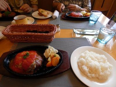 ２５．真夏の紀伊半島4泊　漁師めし みなと食堂　手づくりハンバーグ カーナピーナの昼食