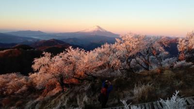 【塔ノ岳】元旦登山☆初日の出と赤富士！！！！！