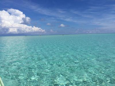 与論島2018～あまり知られていない？綺麗な赤崎珊瑚の森～