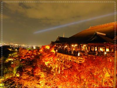 【2016年秋】紅葉の京都へ・夜間拝観編