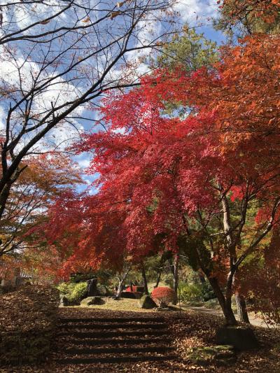 2018/11 信州 紅葉狩り 長和町・立科町 笠取峠の松並木