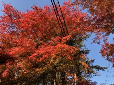 紅葉を見に軽井沢へドライブ