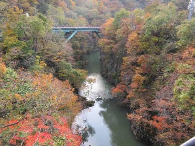 晴れおじさん「秋だ、紅葉だ、ドライブだ」その３