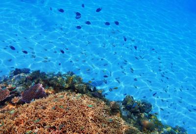 座間味島・安慶名敷島＿沖縄2018～&quot;世界が恋する海&quot;を見たくて～