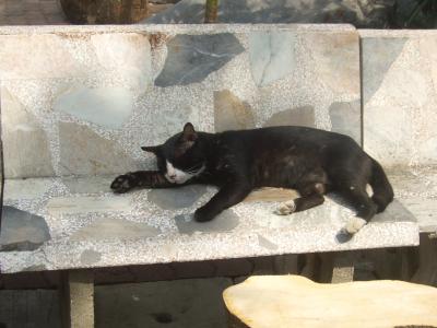 OneチェンマイTwoコンケーンでGoバンコク2018年1月