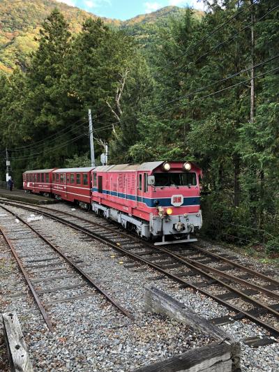 ３世代で寸又峡温泉に1泊する鉄道旅　後編