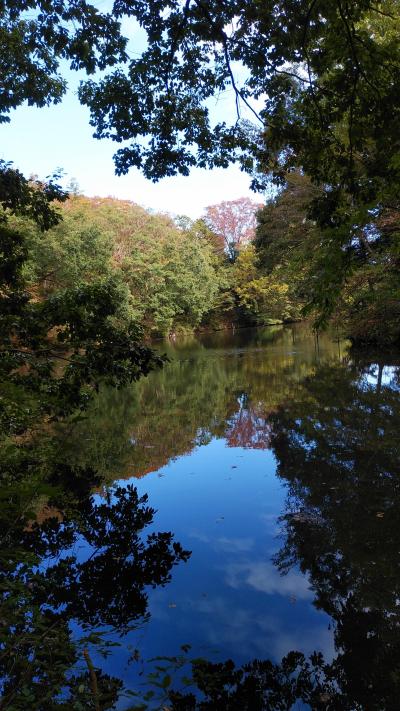 ししど窟（いわや）と震生湖（秦野市）