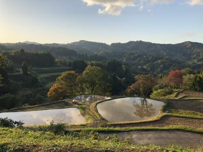 十日町市松代「星峠の棚田・儀明の棚田・蒲生の棚田」