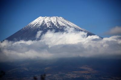 捻挫リハビリ登山・愛鷹山