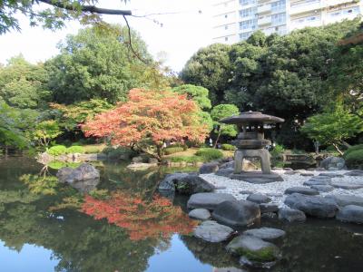 庭園をめぐりながら秋のウォーキング