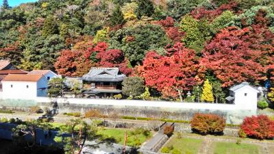 シニア夫婦日帰り旅　津和野の堀庭園へ　