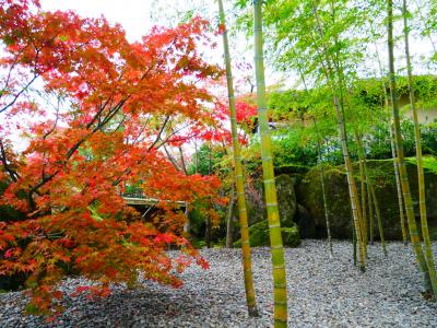紅葉の遠足☆箱根美術館のお庭歩き