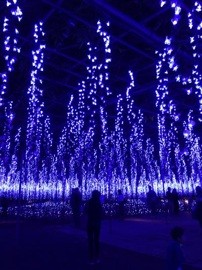 はとバス あしかがフラワーパーク イルミネーション2019