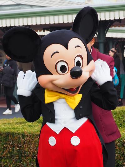 2018　11月ディズニー　　頑張るミッキーに力をもらう２日間　１