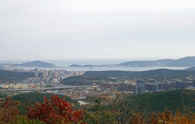 中国東北地方4泊5日(3)【旅順】113年前と変わらぬ旅順港を一望する