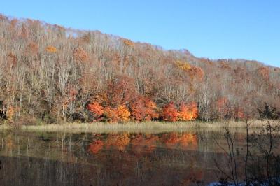 晩秋の裏磐梯(五色沼)と鶴ケ城