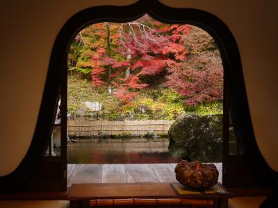 見事な紅葉吉祥寺