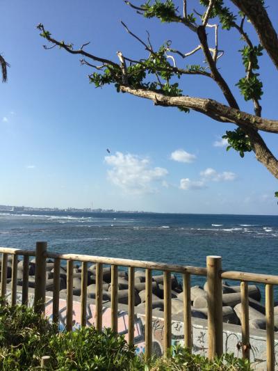 沖縄弾丸一人旅2018.11. 滞在26時間で沖縄の食と雰囲気を…