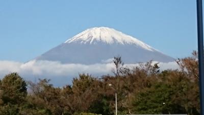 富士山をたくさん見てきました。近くで見るとすごい大きいです。