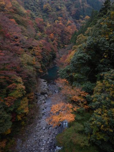 奥多摩の紅葉