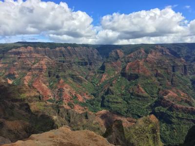 新婚旅行でプライド・オブ・アメリカ【5】～カウアイ島・絶景のワイメアキャニオン～