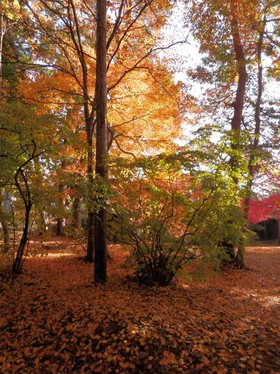 花巻・遠野・気仙沼　2泊旅　2日目