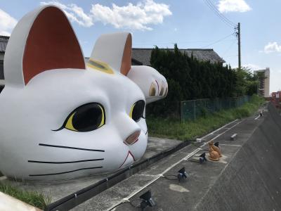 常滑焼と招きねこと明太子 ＜2＞