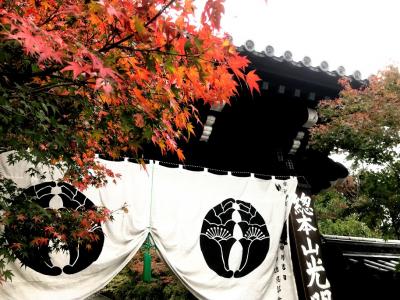 2018年　京都　光明寺の紅葉を一足お先に！