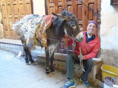 モロッコ訪問記『迷路の旧市街』古都フェズのメディナ