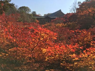 2017112829 京都　東福寺清水寺