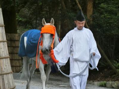 【伊勢神宮・内宮（神馬・空勇号）】