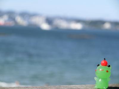 東京湾に浮かぶ無人島・猿島さんぽ♪～２０１８～